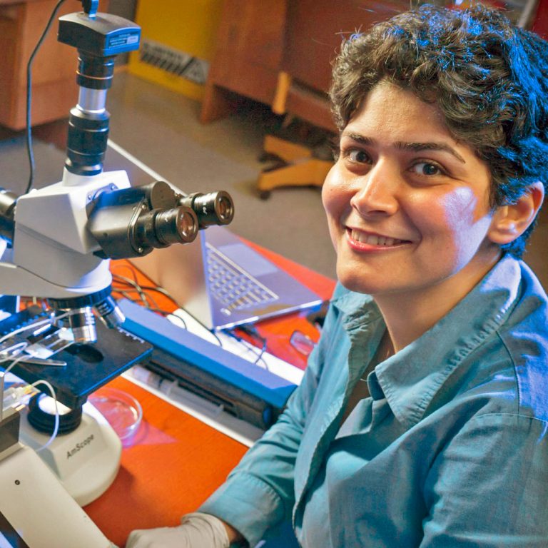 Dr. Arezoo Motavalizadeh Ardekani, assistant professor in the School of Mechanical Engineering at Purdue University. (Photo credit: Purdue Office of Research and Partnerships)