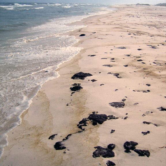 Partially buried oil at Pensacola Beach, Florida, showing oil deposited in intertidal (partially submerged) and supratidal (exposed) sands. Depending on the location of the oil burial, oil-degrading microbes are exposed to very different environmental settings ranging from permanently submerged to permanently dry. The location of the buried oil also affects the oil’s exposure to oxygen, nutrients, and heat and thus impacts the rates of microbial degradation. (Photo by Markus Huettel)