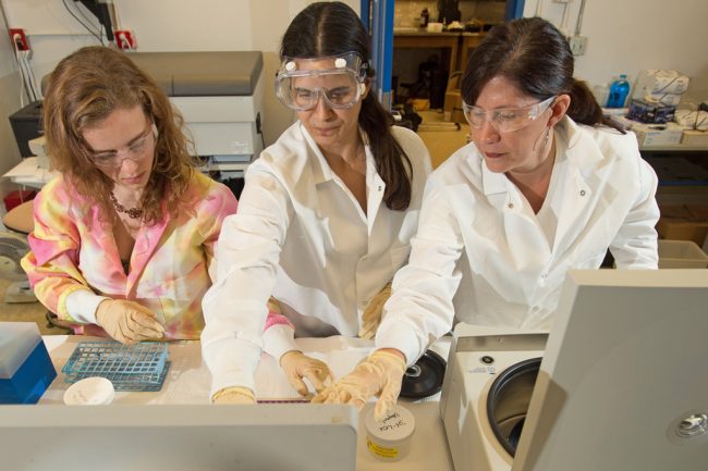 Vaughn–OUR-Explorers-Program-3-WEB University of West Florida Associate Professor in Chemistry, Pam Vaughan (far right), mentors undergraduate students Cynthia McCord and Michelle Waters in determining photochemical degradation and relative toxicity of MC252 and Surrogate oil water accommodated fractions. (Photo credit: Michael Spooneybarger)