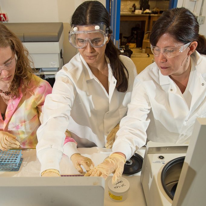 Vaughn–OUR-Explorers-Program-3-WEB University of West Florida Associate Professor in Chemistry, Pam Vaughan (far right), mentors undergraduate students Cynthia McCord and Michelle Waters in determining photochemical degradation and relative toxicity of MC252 and Surrogate oil water accommodated fractions. (Photo credit: Michael Spooneybarger)