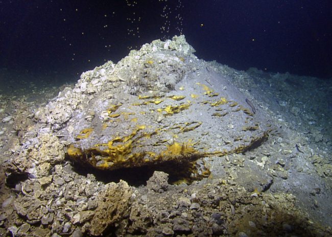 Wang_Bubbles-WEB Sleep Dragon seep site in the Gulf of Mexico. (Photo by Ocean Exploration Trust, Inc./GISR)