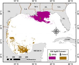 Oil spill footprint map for the Ixtoc I and Deepwater Horizon oil spills. The Ixtoc I oil spill footprint was generated from satellite observations by Shaojie, and the Deepwater Horizon oil spill footprint was based on NOAA data. (Photo provided by Shaojie Sun)
