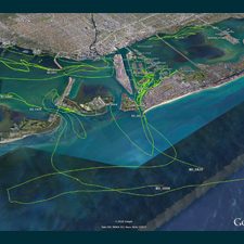 carthe_driftstudypic8_slider