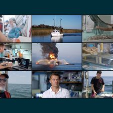 dispatches-montage-300×225-final_v4