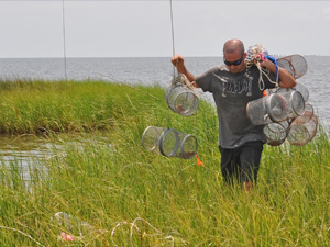 dubansky_settingtraps_slider