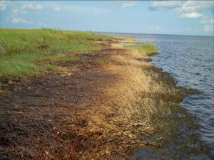 turner_2010-sept-10_-bastian-bay_slider