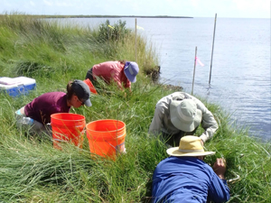 Zengel-group field work_slider