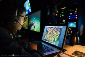 Fanny takes photos of corals in the ROV control van onboard the E/V Nautilus. (Photo credit: Ocean Exploration Trust)