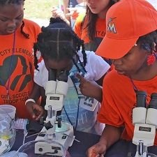 Miami Girl Scouts look at mahi-mahi embryos at an Ocean Kids outreach event. University of Miami students with the RECOVER consortium set up hands-on learning stations about the ocean. (Photo by RECOVER)