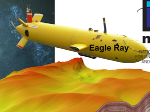 Scientists used two deep-sea autonomous underwater vehicles, the Eagle Ray and Mola Mola, to survey natural seeps near the Macondo wellhead site. Graphic provided by Arne Diercks.