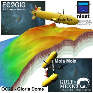 Scientists used two deep-sea autonomous underwater vehicles, the Eagle Ray and Mola Mola, to survey natural seeps near the Macondo wellhead site. Graphic provided by Arne Diercks.