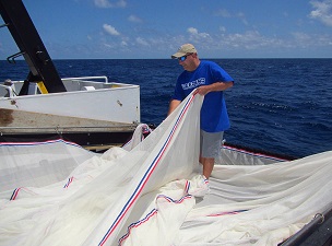 Study author Tracey Sutton, Principal Investigator of the DEEPEND consortium and professor of marine and environmental sciences at NOVA Southeastern University, prepares nets on a recent DEEPEND research cruise, exploring the exceptional diversity of the deep northern Gulf of Mexico. Picture provided by DEEPEND.