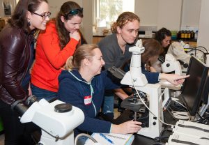 Melissa and the participants of the 2017 Benthic Invertebrate Taxonomy, Metagenomics, and Bioinformatics (BITMaB)workshop, sponsored by GOMRI, view copepod taxonomy. (Provided by Melissa Rohal)