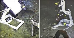 Researchers positioned a newly-designed high-definition video camera in front of natural hydrocarbon vents and recorded bubble behavior at two GC600 seeps (C) 2-day deployment and (D), 26-day deployment (Figure 2 in publication, used with permission)