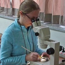 Melissa identifies a copepod at the Copepod workshop in South Korea. (Provided by Melissa Rohal)