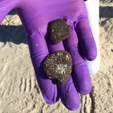 SandPatties_SwashZone_slider Sand patties that researchers found in the swash zone of Gulf of Mexico beaches contain approximately 10-15% oil. Photo provided by Joseph M. Suflita.