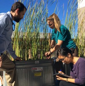 Evan Variano (left) along with doctoral students Madeline Foster (middle) and Kimberly Hyunh (right) is continuing this research with a focus on sediment processes in wetlands.