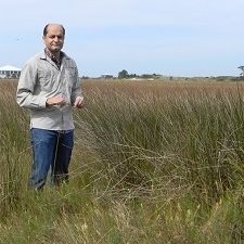 DSCN0616_slider Study author Behzad Mortazavi stands in a Dauphin Island, Alabama marsh area. Photo credit: Regina Kollegger.