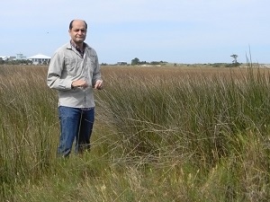 DSCN0616_slider Study author Behzad Mortazavi stands in a Dauphin Island, Alabama marsh area. Photo credit: Regina Kollegger.