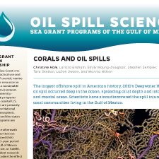 Corals and oil spills_Page_1_slider