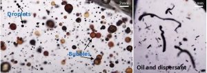 Dr. Michel Boufadel’s research group continues their investigations of the effects of bubbles and dispersant on the oil droplet formation in turbulent flows. Image provided by Michel Bouifadel.