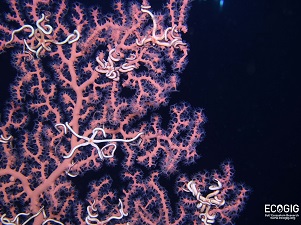 IMG_1146_slider