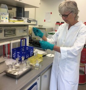Study author Uta Passow prepares treatments for roller table experiments. Image provided by Passow.
