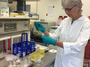 Study author Uta Passow prepares treatments for roller table experiments. Image provided by Passow.