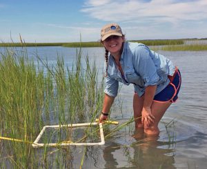 Shelby counting Spartina alterniflora shoot density and measuring shoot heights during a marsh habitat survey. (Photo credit: Lauren Clance)
