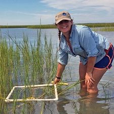 1_slider Shelby counting Spartina alterniflora shoot density and measuring shoot heights during a marsh habitat survey. (Photo credit: Lauren Clance)