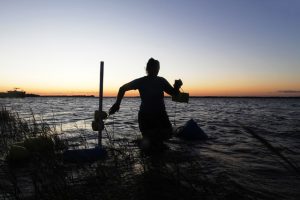 Shelby sets a gill net at dusk along the marsh edge. (Photo credit: Mary Lide Parker, UNC Research)