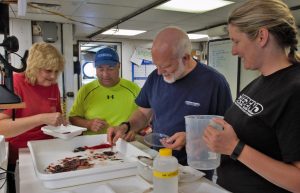 Researchers sort the catch into fishes, crustaceans, squids, and jellyfishes. (Provided by DEEPEND)
