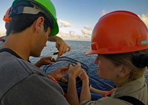 Researchers examine a bongo net catch. (Provided by DEEPEND)