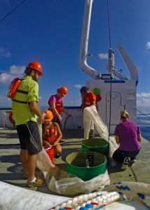 The team rinses the bongo nets and record the flowmeter data. (Provided by DEEPEND)