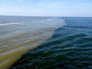 An oceanographic front showing the Mississippi River plume (left) interacting with Gulf of Mexico surface water (right). Photo credit: Brett Walker