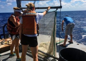 Danielle and Dr. Bracken-Grissom deploy a mid-water trawl net aboard the R/V Bellows. (Credit: DeLeo)