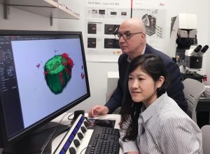Dr. Michel Boufadel and Dr. Lin Zhao study the 3D structure of oil-particle aggregates using confocal microscope in the lab of New Jersey Institute of Technology. Photo provided by L. Zhao.