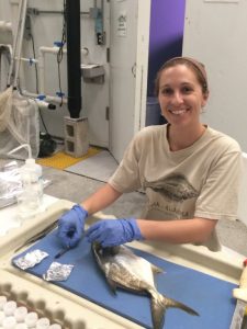Study author Dr. Jennifer Granneman collects fish otoliths during a Gulf of Mexico research expedition. Picture credit: C-IMAGE.