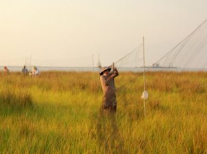 Study author Stef Woltmann collects Seaside Sparrows using mist netting. Photo by study author Phillip Stouffer.