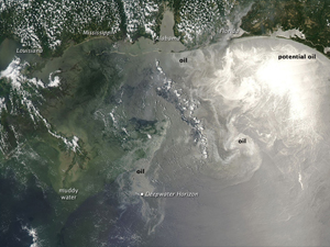 gulf_amo_2010163_slider A satellite image of the Gulf of Mexico showing the oil slick on the surface of the water. Image: NASA