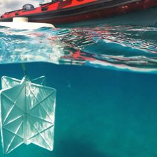 Carthe_drifter3_slider Study author Guillaume Novelli deploys the eco-friendly CARTHE drifters, which are designed to measure shallow-depth surface currents. Photo credit: Cédric Guigand.