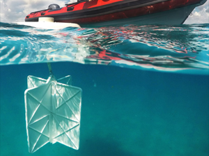 Carthe_drifter3_slider Study author Guillaume Novelli deploys the eco-friendly CARTHE drifters, which are designed to measure shallow-depth surface currents. Photo credit: Cédric Guigand.