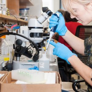 Co-Principal Investigator Holly Bik preserves identified specimens for genome sequencing. (Photo credit: Larry Hyde)