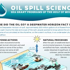 Sea Grant_WhereDidOilGo_capture_slider