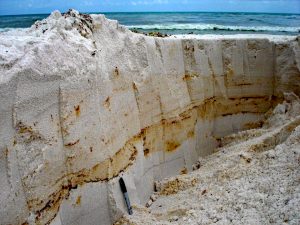 Researchers dug trenches in oiled Pensacola beach sands. (Photo by Markus Huettel)