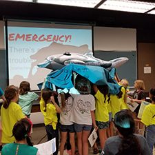 CARMMHA_Summer2018_slider CARMMHA hosted several workshops and demonstrations at the Girl Scouts B.I.G. (Believe In Girls) event at the University of New Orleans. The girls learned about how scientists study dolphin health and participated in a mock dolphin assessment. See the CARMMHA website.