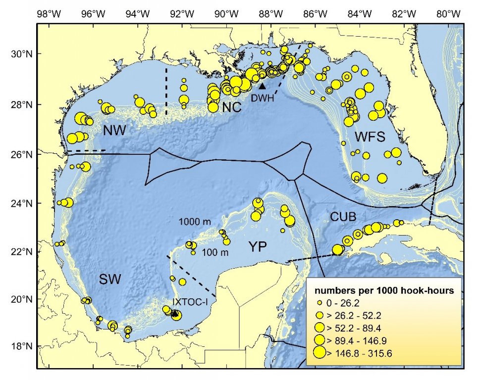 Sampling locations and catch rates (numbers of fishes caught per 1000 hooks fished per hour) for the Gulf of Mexico, 2011-2017. Provided by Steve Murawski. From Murawski, S.A., Peebles, E.B., Gracia, A., Tunnell, J.W., Jr. and Armenteros, M. (2018), Comparative Abundance, Species Composition, and Demographics of Continental Shelf Fish Assemblages throughout the Gulf of Mexico. Mar Coast Fish, 10: 325-346. https://doi.org/10.1002/mcf2.10033