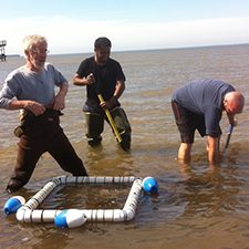Klerks_field sampling 2_slider Study scientists (L-R) Paul Klerks, Nihar Deb-Adhikary, and Alex Kascak collect razor clams in Choctawhatchee Bay, Florida. Photo credit: Paul Klerks