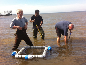Klerks_field sampling 2_slider Study scientists (L-R) Paul Klerks, Nihar Deb-Adhikary, and Alex Kascak collect razor clams in Choctawhatchee Bay, Florida. Photo credit: Paul Klerks