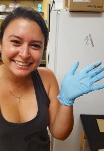 Alexis displays the removed brain of a red drum. (Provided by Alexis Khursigara)